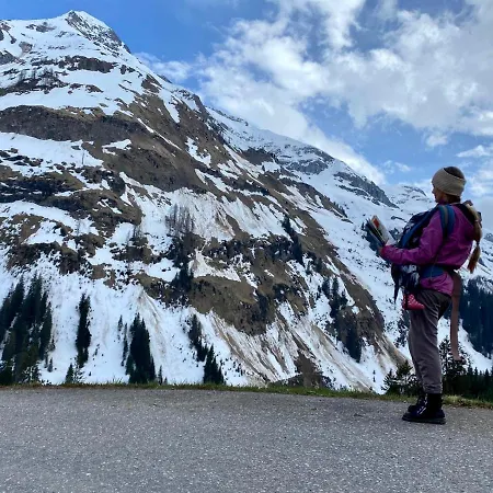 Alma Arlberg Вилла