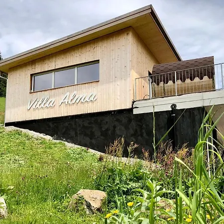 Alma Arlberg 别墅 *