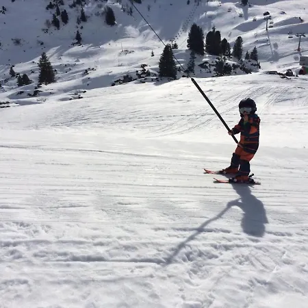 别墅 Alma Arlberg *