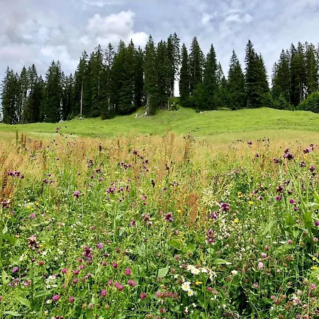 Villa Alma Arlberg *